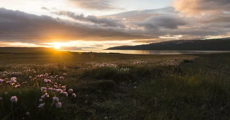 When is the summer solstice? When is the winter solstice?